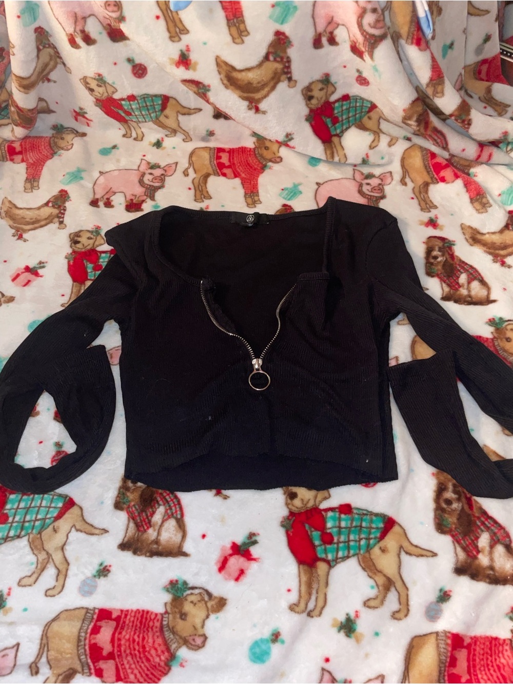H&M Black Ribbed Zip-Front Long Sleeve Crop Top with Ring Pull